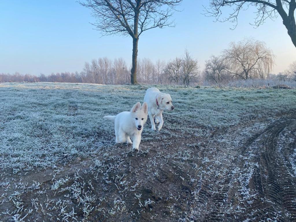 Dom Goscinny Lerka - 240 M2 Mazury Jeziora Lasy Lakorz Esterno foto