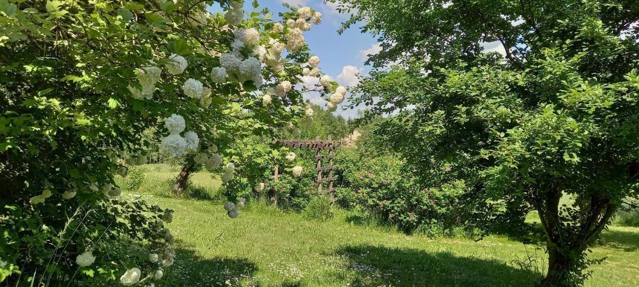Dom Goscinny Lerka - 240 M2 Mazury Jeziora Lasy Lakorz Esterno foto