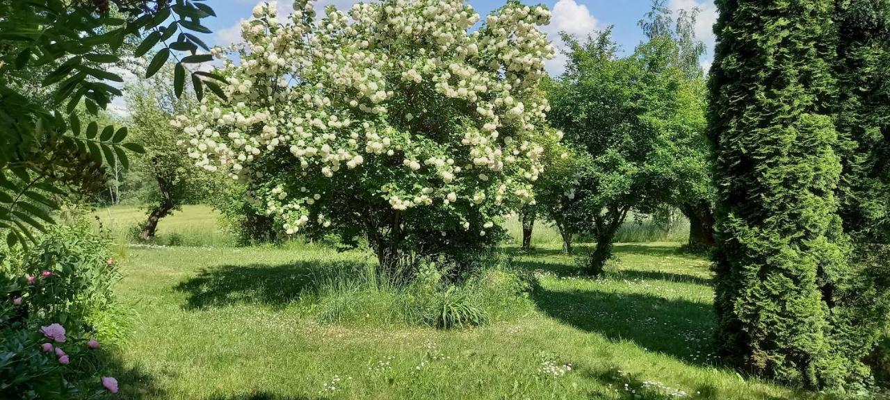 Dom Goscinny Lerka - 240 M2 Mazury Jeziora Lasy Lakorz Esterno foto