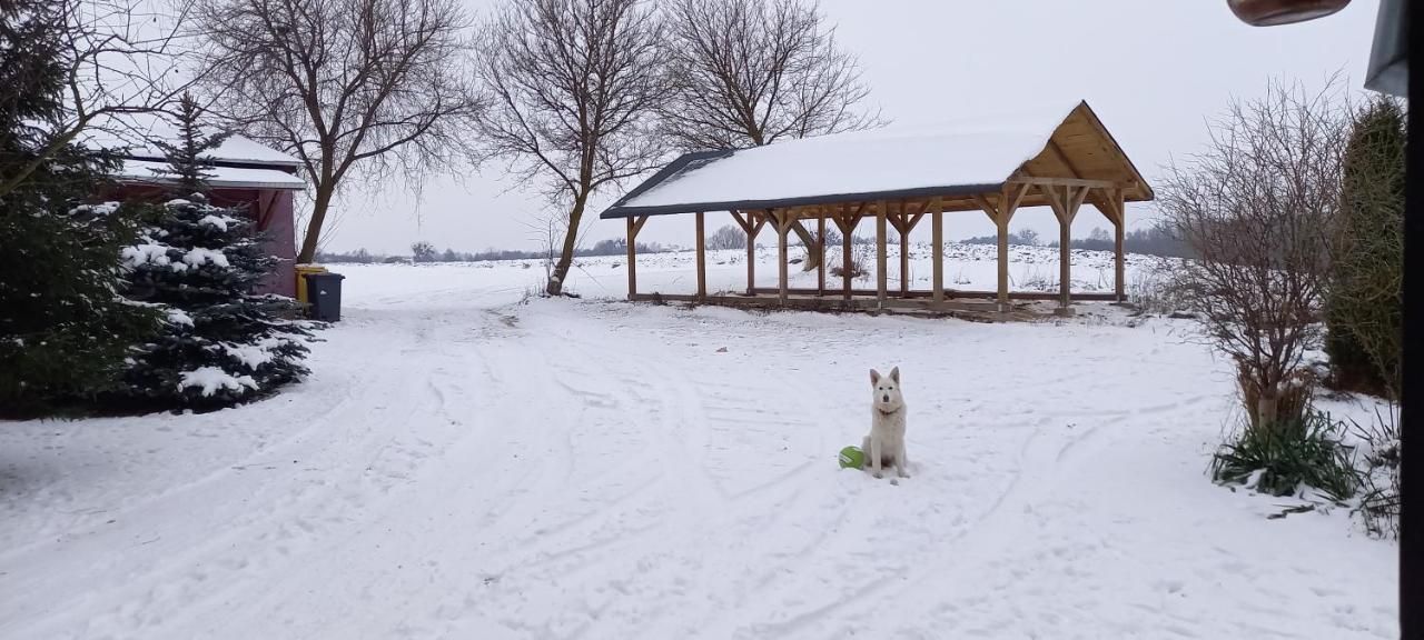Dom Goscinny Lerka - 240 M2 Mazury Jeziora Lasy Lakorz Esterno foto