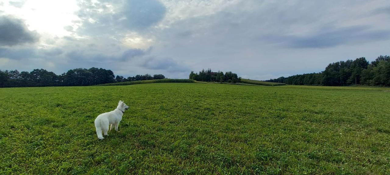 Dom Goscinny Lerka - 240 M2 Mazury Jeziora Lasy Lakorz Esterno foto