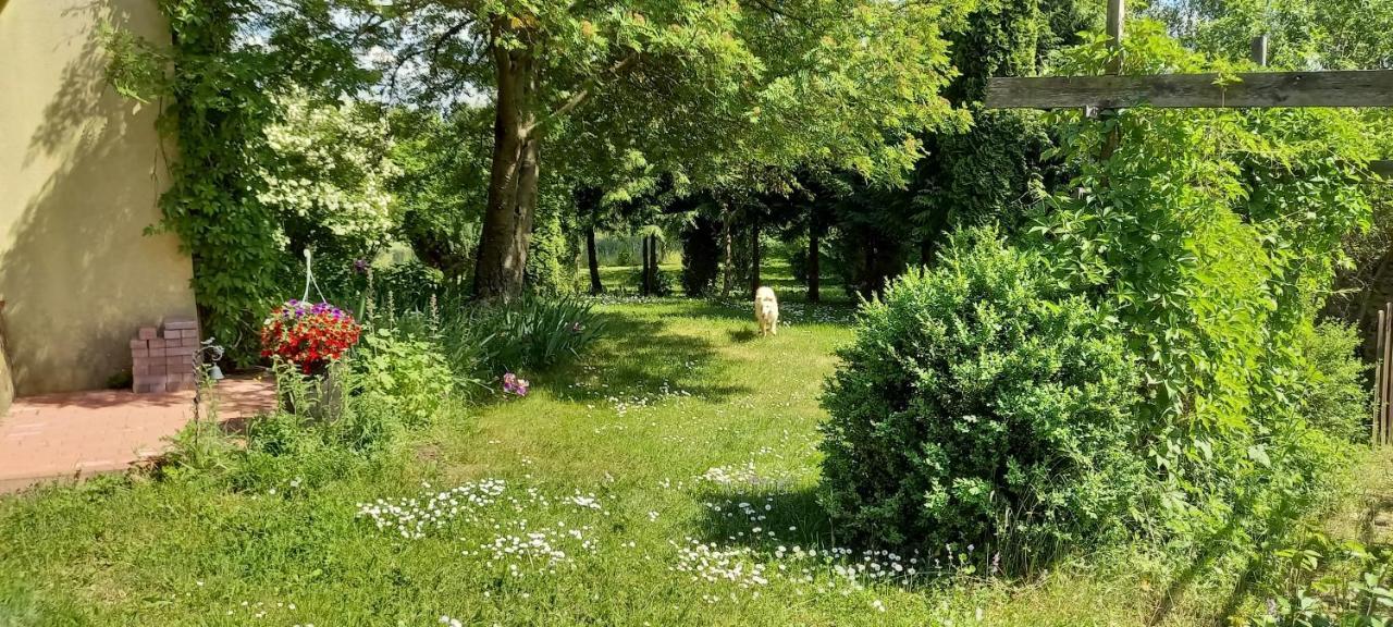 Dom Goscinny Lerka - 240 M2 Mazury Jeziora Lasy Lakorz Esterno foto